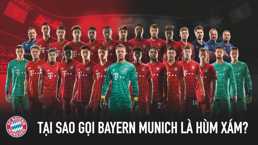 Tại sao gọi Bayern Munich là Hùm Xám?